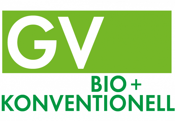 Logo GV